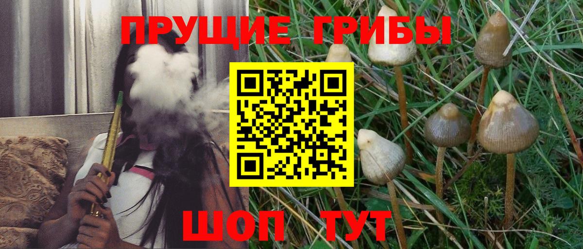 Галлюциногенные грибы мухоморы Рыбинск